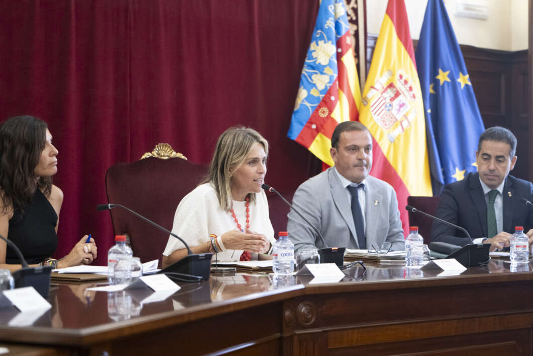 La Diputació demana al Govern una auditoria urgent per les fallades de les polseres antimaltractament