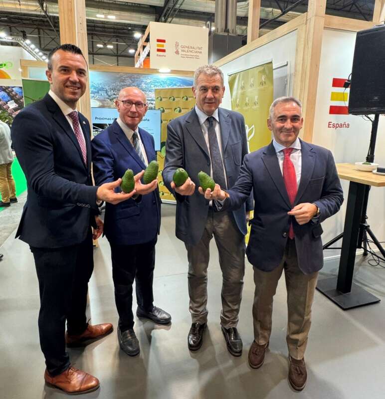 Barrachina reivindica la promoció i les marques de qualitat com a motor del camp valencià