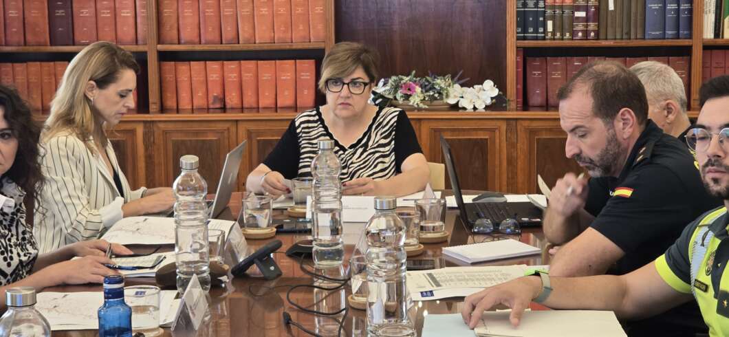 subdelegada gobierno reunio seguretat, nevades
