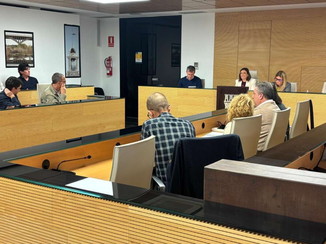 Almassora, sesion plenaria