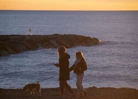 Benicàssim permite el acceso de los perros a las playas hasta el 1 de marzo