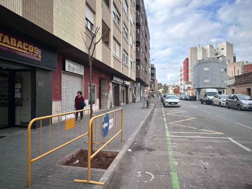 Burriana reforça la renaturalització urbana amb la plantació de 47 nous arbres