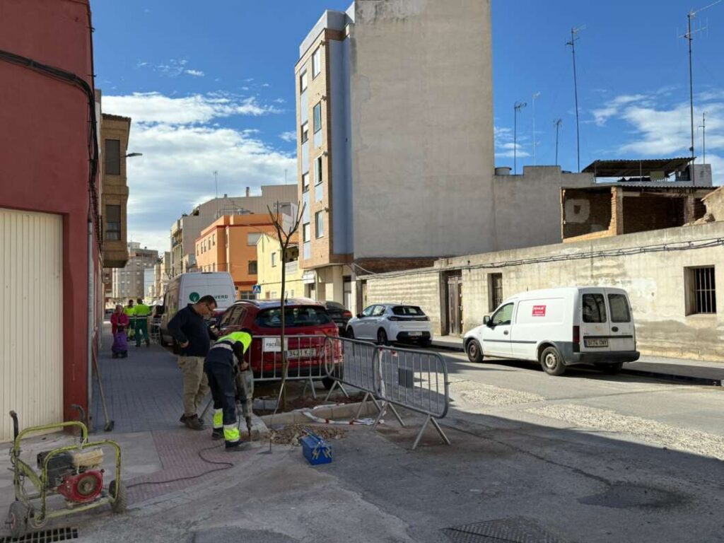 Burriana reforça la renaturalització urbana amb la plantació de 47 nous arbres