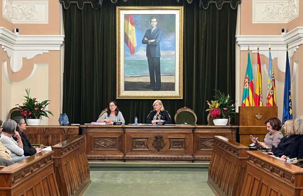 Reunión Consejo Igualdad Castellón Noviembre 2025