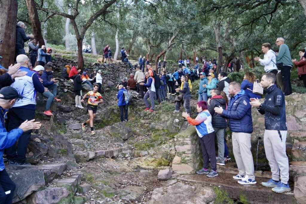 La Diputación destaca el éxito de la Marató dels Dements Skymasters y el coraje de sus 646 participantes