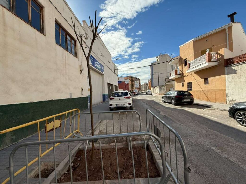 Burriana reforça la renaturalització urbana amb la plantació de 47 nous arbres