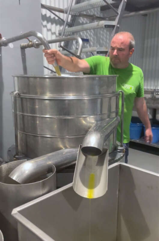 Viver multiplica por seis su producción de AOVE y recupera todas sus gamas