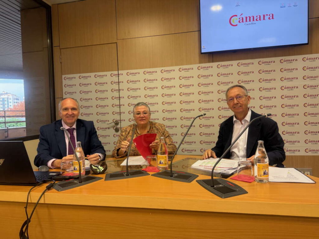 Balance anual Cámara de Comercio Castellón 151225