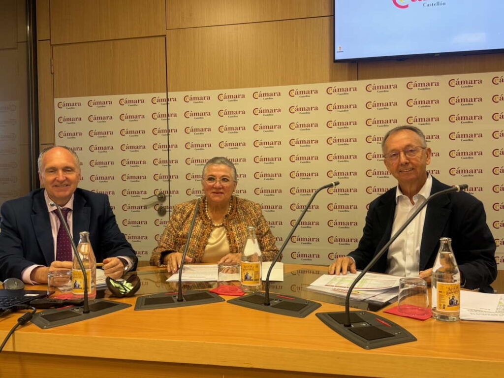 Balance anual Cámara de Comercio Castellón 151225