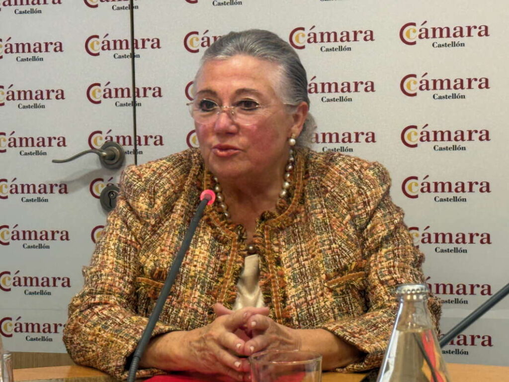 Balance anual Cámara de Comercio Castellón 151225