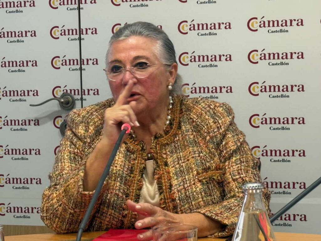 Balance anual Cámara de Comercio Castellón 151225