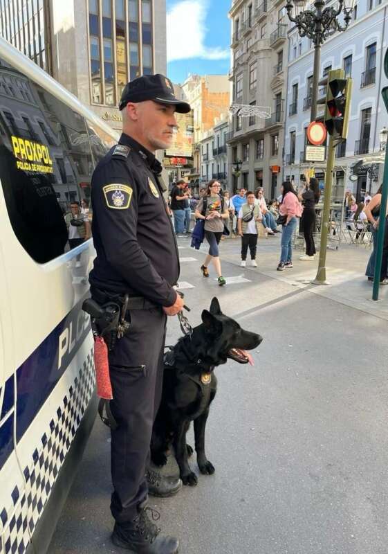 Dispositivo de Seguridad Nochevieja 2025