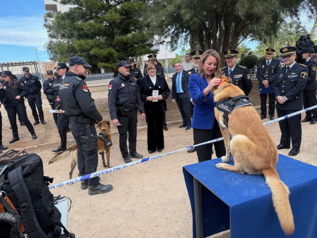 Agente especial KAta. Homenaje a la Policía Nacional en su 200 aniversario, Castellón