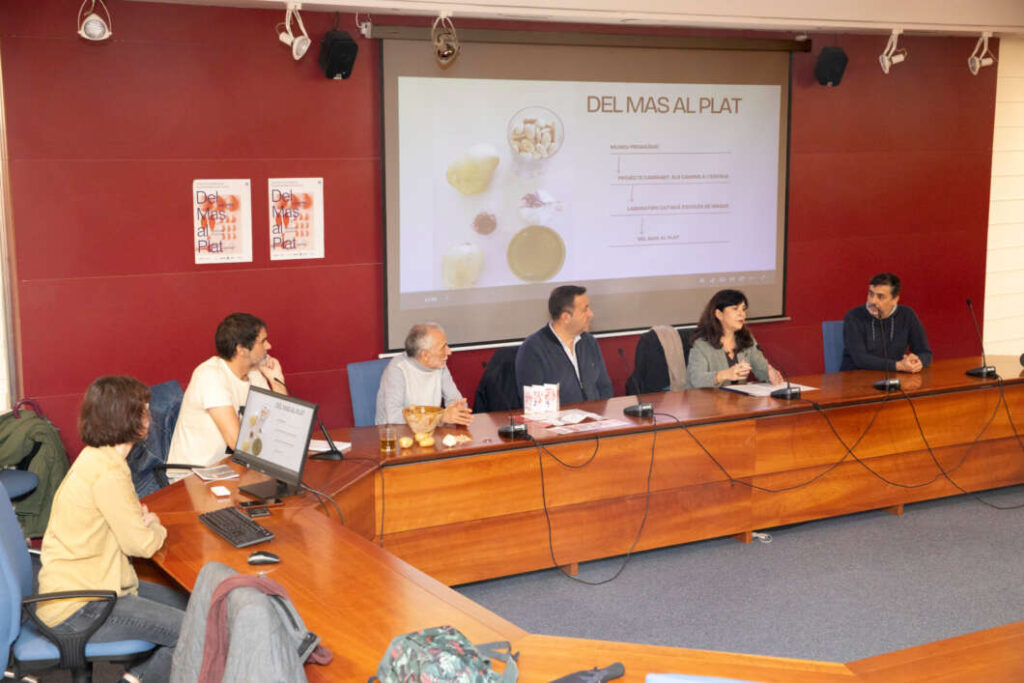 Receptes dels masos de Llucena arriben als menjadors escolars amb el projecte ‘Del mas al plat’