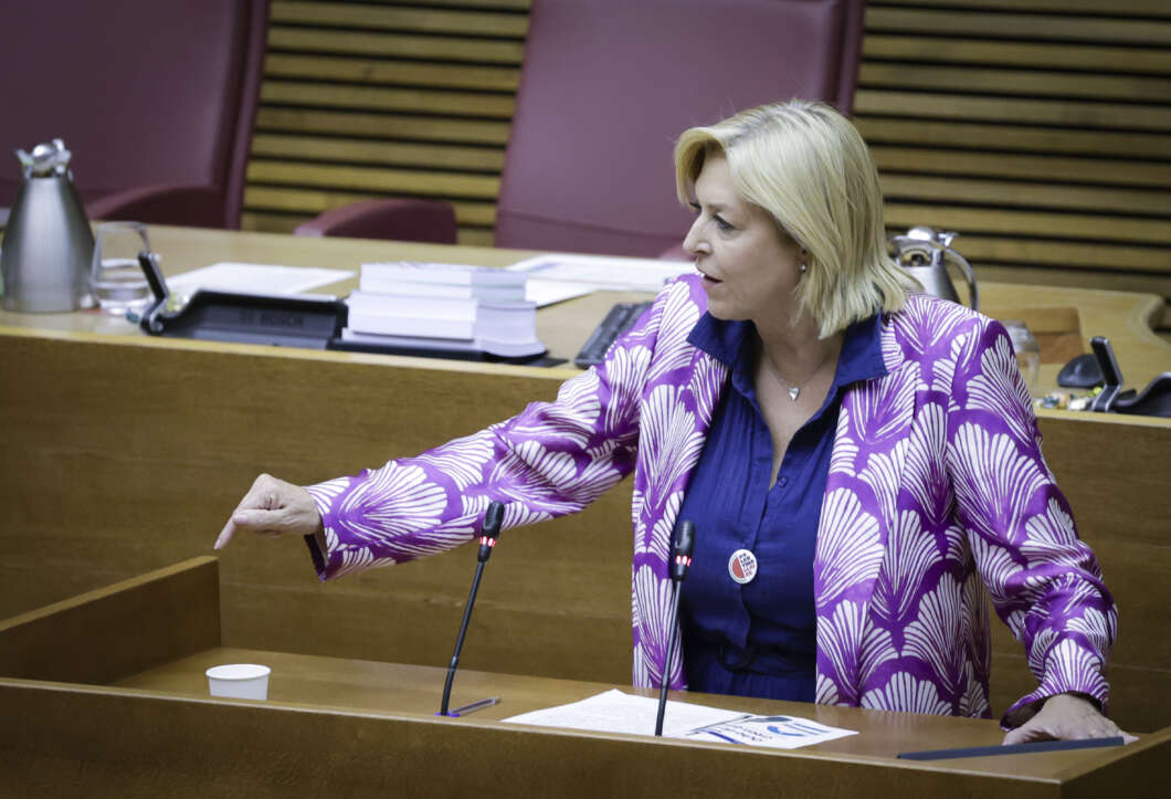 El PSPV-PSOE reclama al Consell que active l’Agent Tutor davant l’augment “alarmant” de l’assetjament escolar