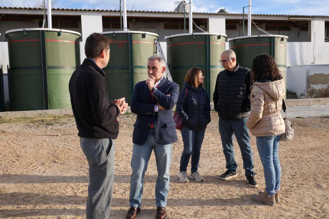 miguel barrachina cerdos