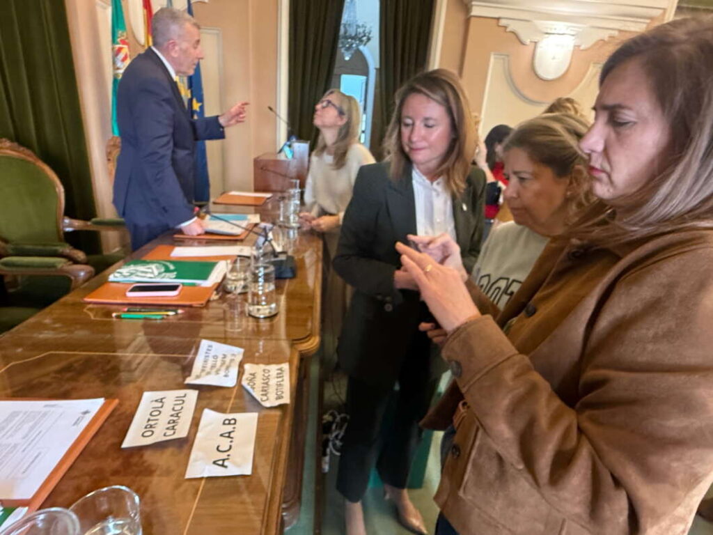 octavillas contra la alcaldesa arrojadas en el pleno 181225