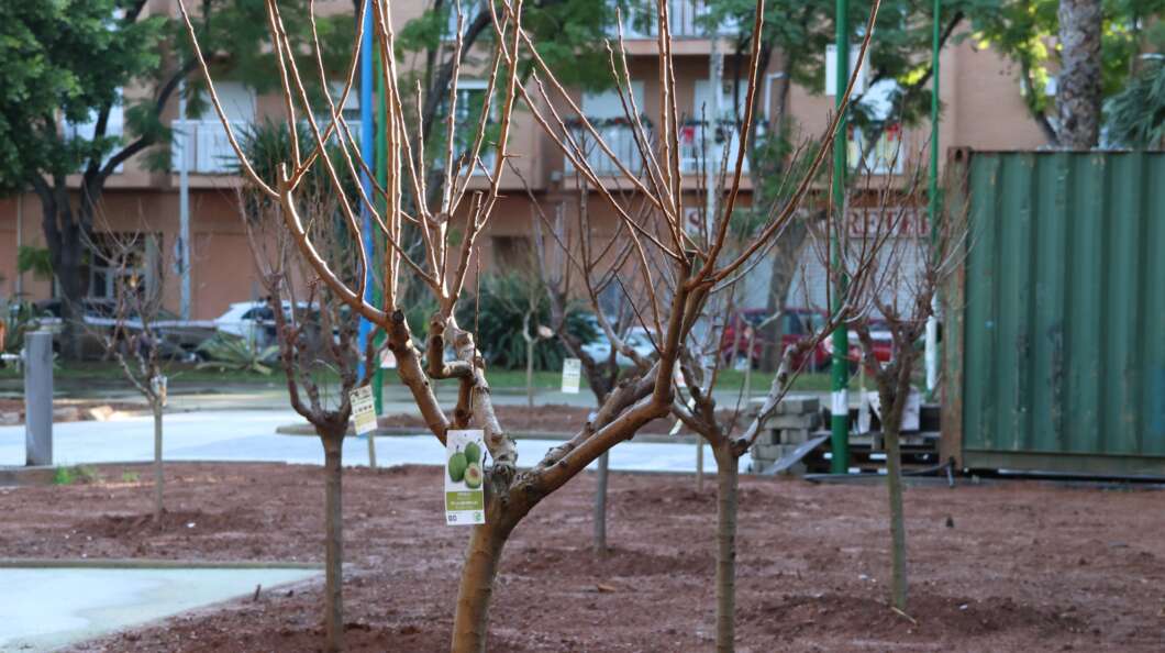 Mejora accesibilidad Parque de las Tres Culturas 2025