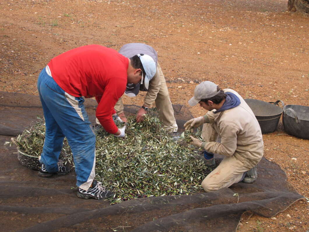 LA UNIÓ exige ayudas para garantizar el relevo generacional en el campo valenciano