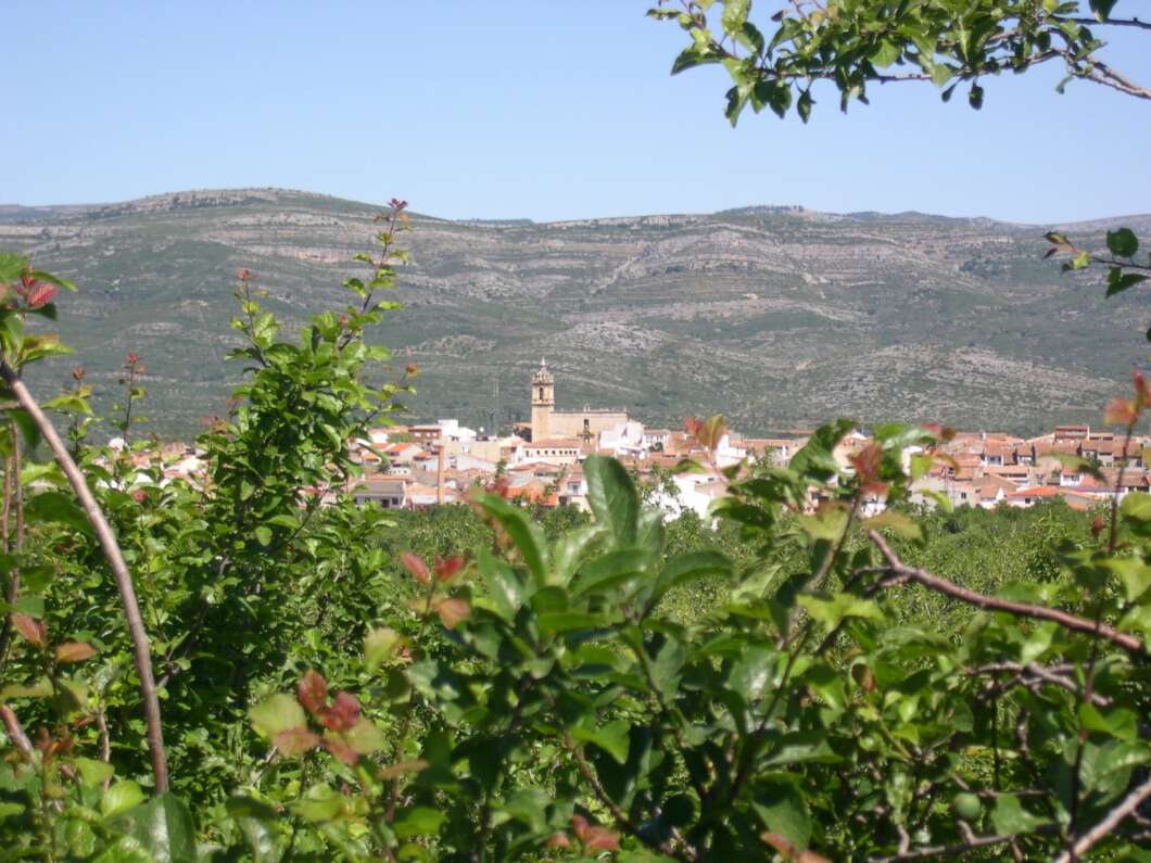 Albocàsser llança una campanya de vals per reactivar el comerç local després de Nadal