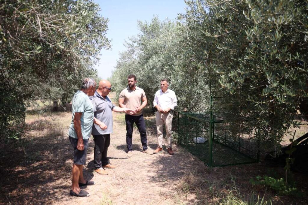 Jaulas para control de jabalíes en Burriana.