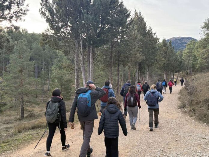 caminant amb la diputacio