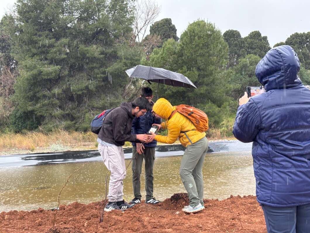 El Consorci Riu Millars celebra el Dia de l’Arbre amb 87 alumnes malgrat la pluja