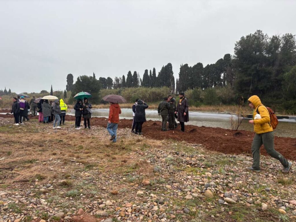 El Consorci Riu Millars celebra el Dia de l’Arbre amb 87 alumnes malgrat la pluja
