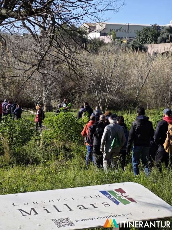 Més de 400 persones participen en les activitats d’educació ambiental del Consorci del Millars en 2025