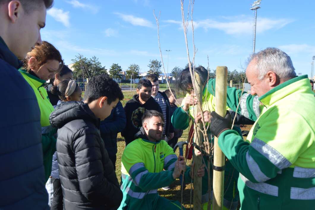 Vila-real, alumnos, plantan, arboles