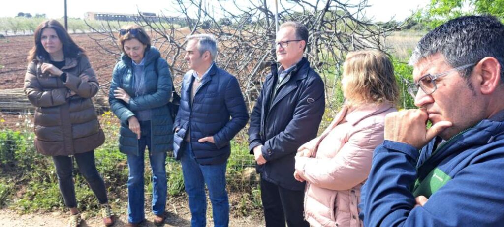 Alcalà-Alcossebre rep més d’1,5 milions per a reparar els danys de la Dana de 2024