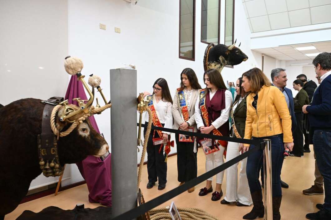 almassora asociacion taurina 1