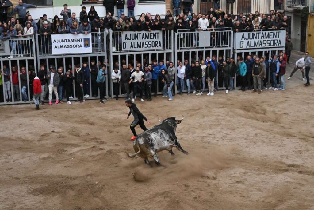 El Mig Any Fester d’Almassora reunix tradició taurina i música en directe