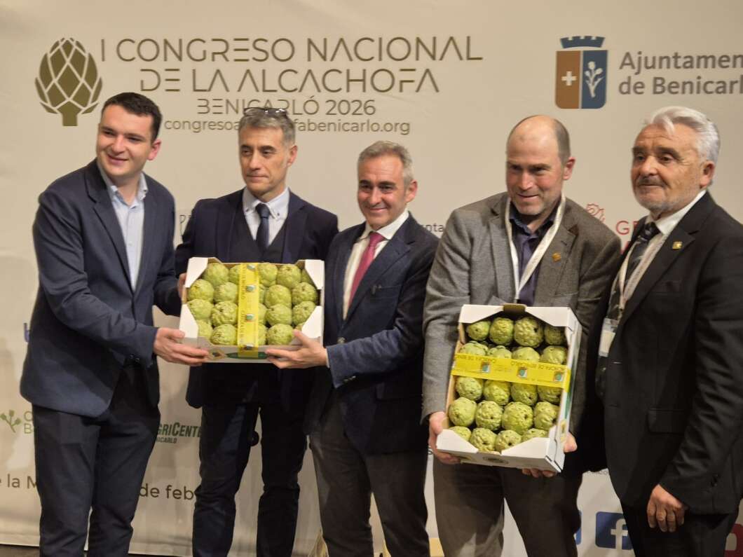 Barrachina impulsa la DOP Carxofa de Benicarló i anima a “mirar l'etiqueta” per a garantir origen i qualitat