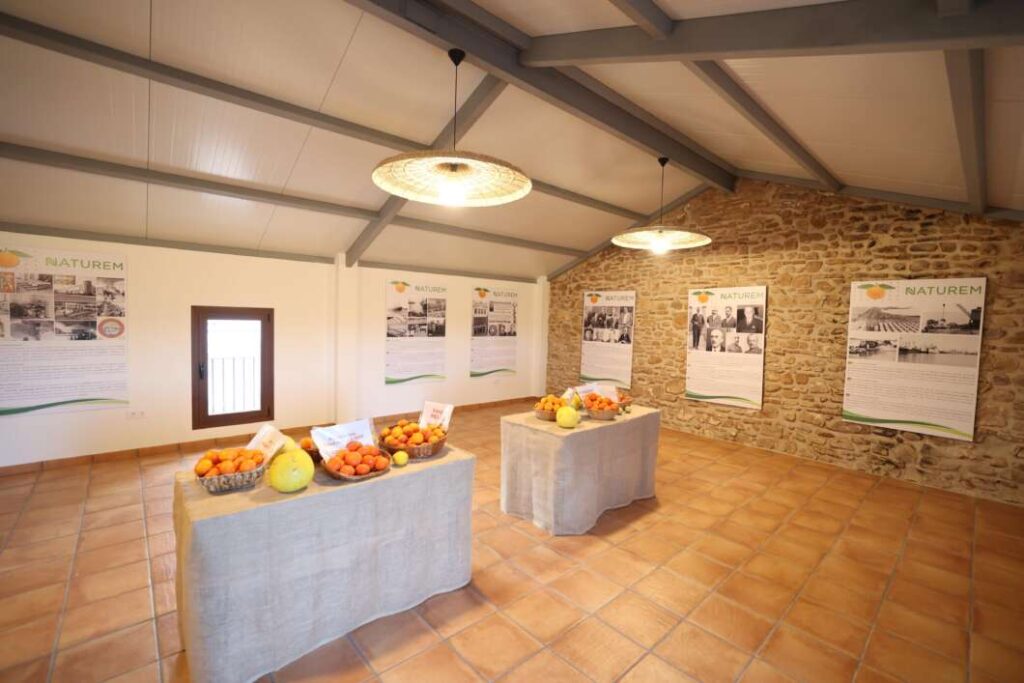 Burriana inaugura el primer centre d’interpretació citrícola d’Espanya