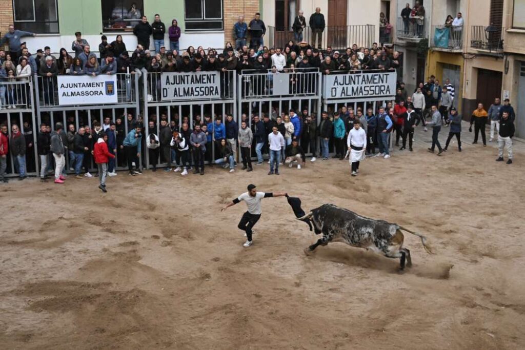 El Mig Any Fester d’Almassora reunix tradició taurina i música en directe