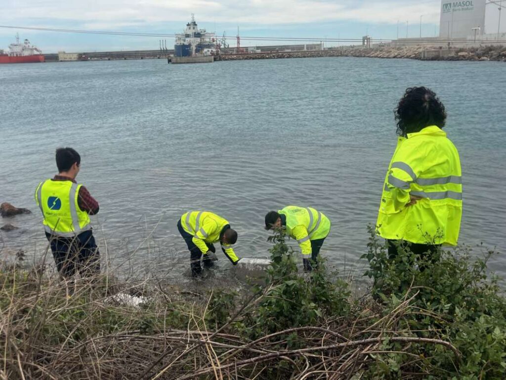PortCastelló y la UPV validan nuevos materiales para entornos marinos
