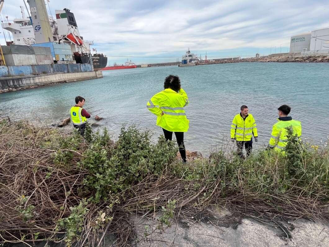 PortCastelló y la UPV validan nuevos materiales para entornos marinos