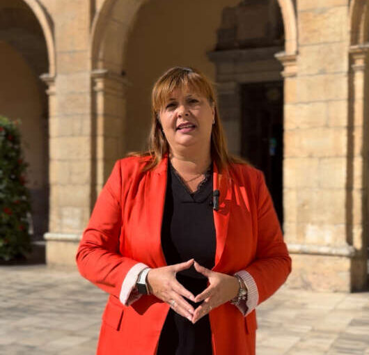 PSPV acusa el govern de Castelló de mantindre l’abús del contracte menor en Turisme