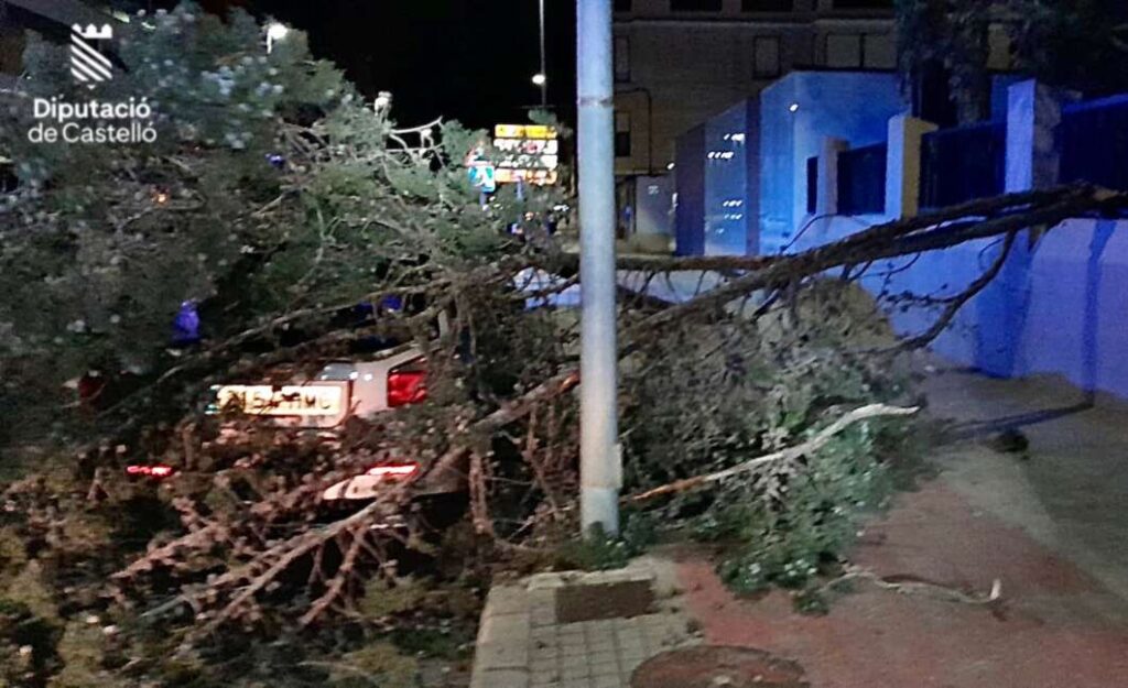 El fuerte viento obliga a realizar 24 intervenciones en la Plana Baixa