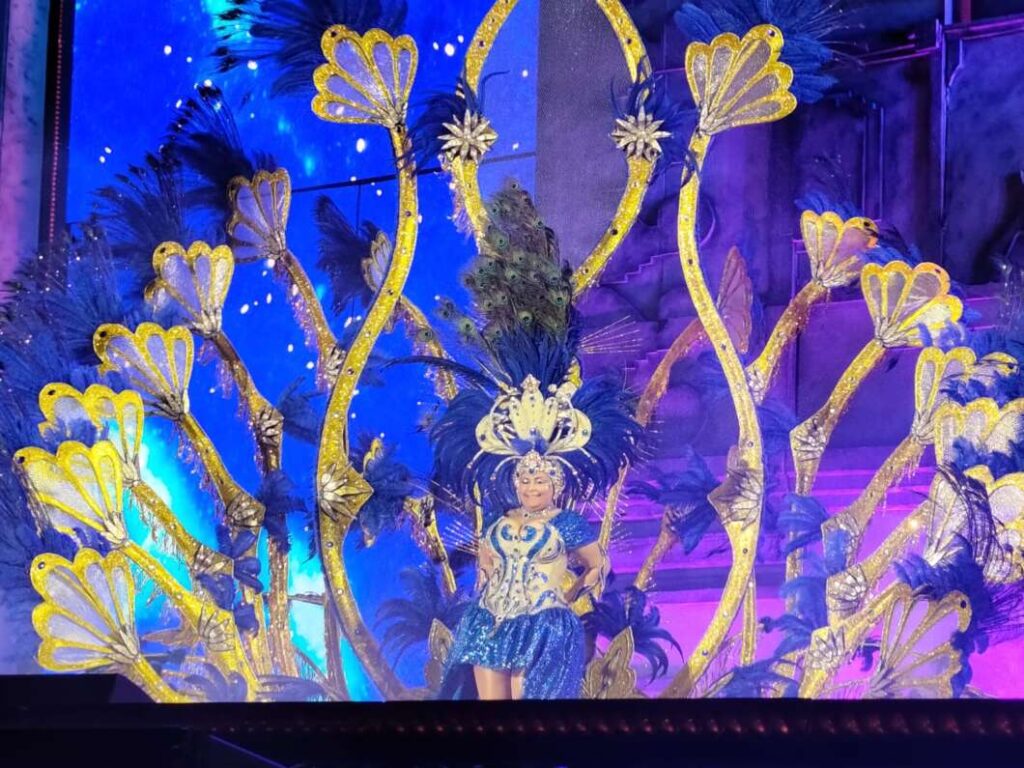 Las reinas y reyes de las comparsas del Carnaval de Vinaròs desvelan sus espectaculares fantasías