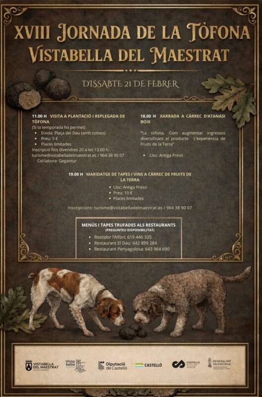 Vistabella del Maestrat acull la XVIII Jornada de la Tòfona amb activitats de camp i gastronomia