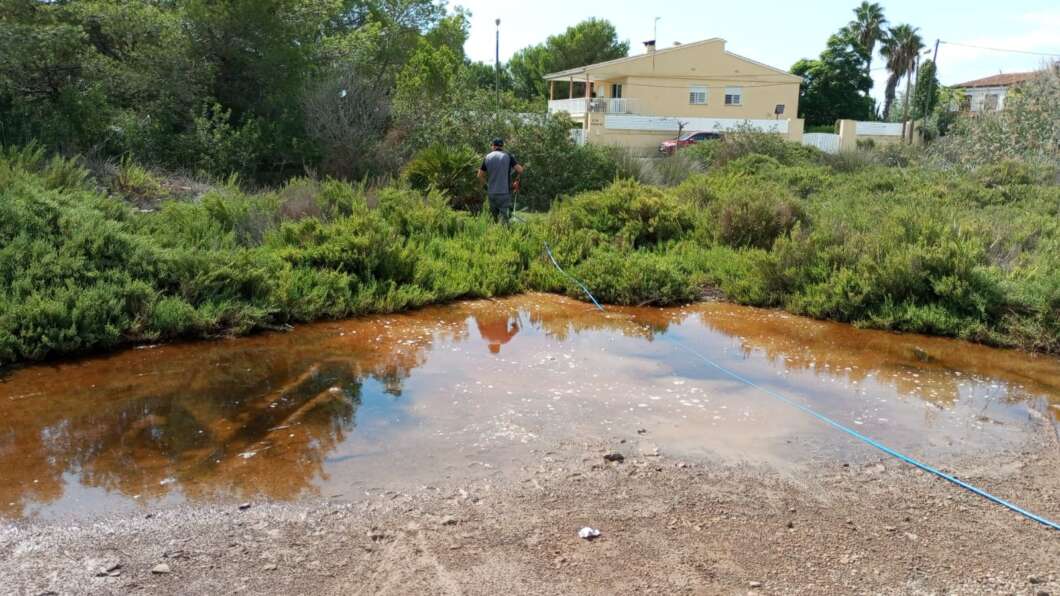 Benicàssim, mosquitos