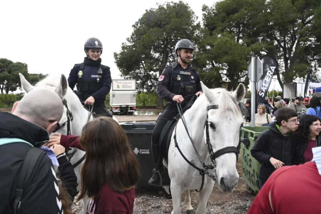 Romeria Magdalena 2026