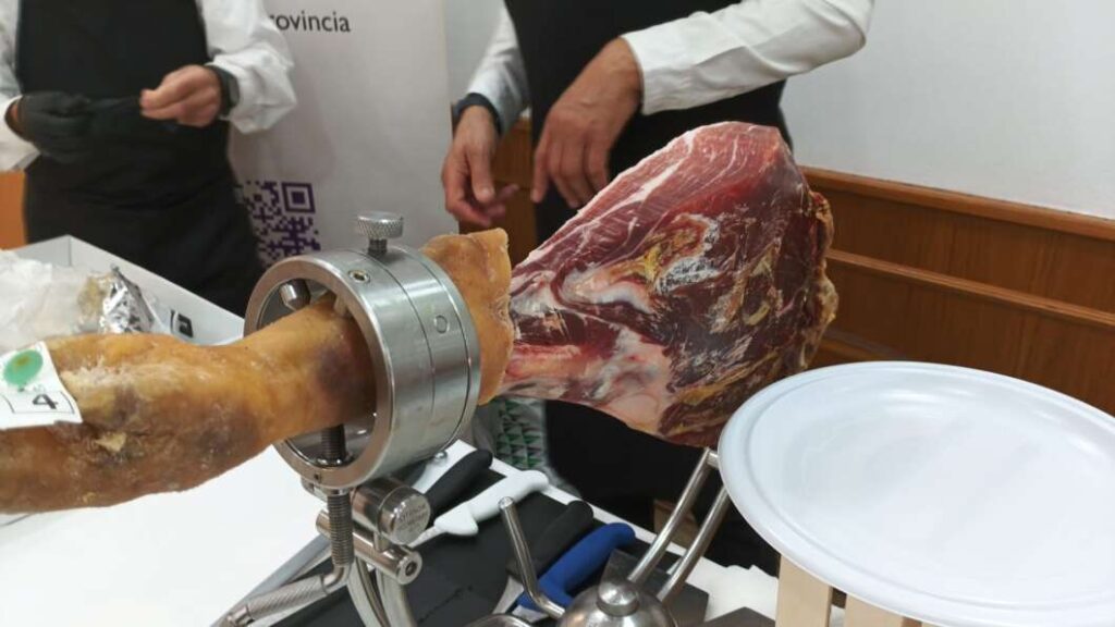 Bodeguilla Castellón Información Magdalena 2026 