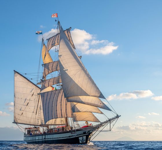 Florette, Barco de Vela 