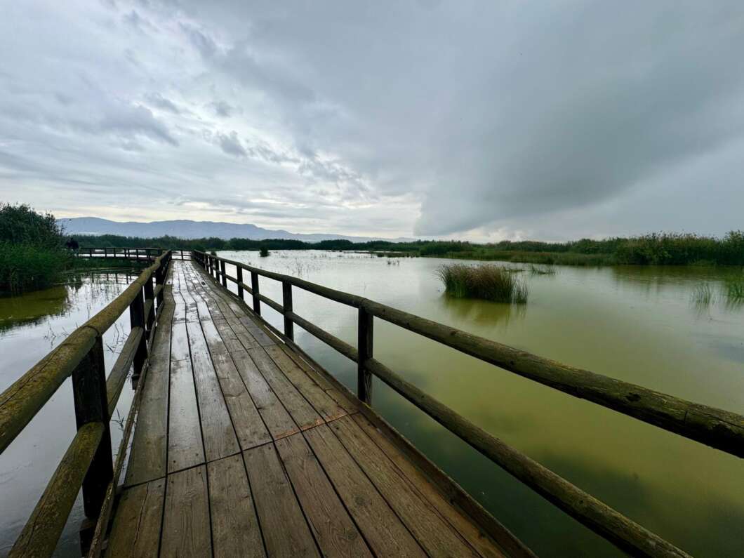 pascua, actividades, generalitat