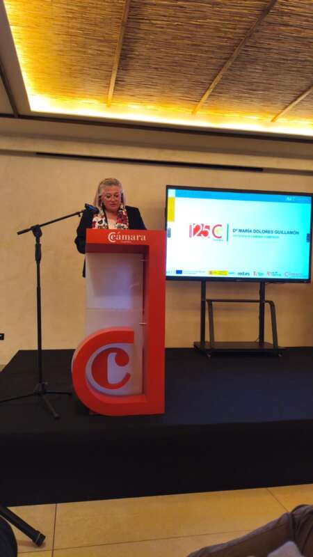 La Cámara de Comercio de Castellón impulsa la IA para transformar el tejido empresarial