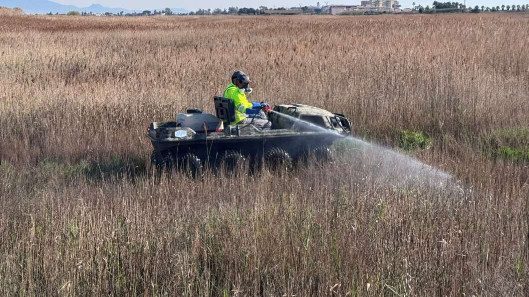 La Diputació reforça la prevenció contra els mosquits al litoral després de les pluges