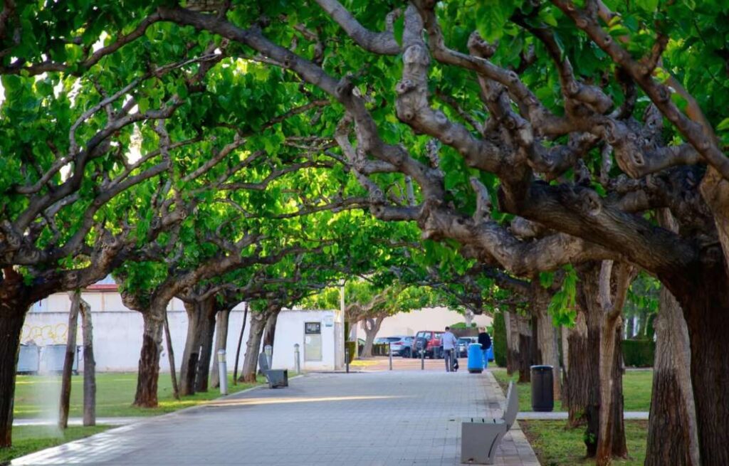 Torreblanca entra en Viles en Flor y consolida su modelo de municipio sostenible